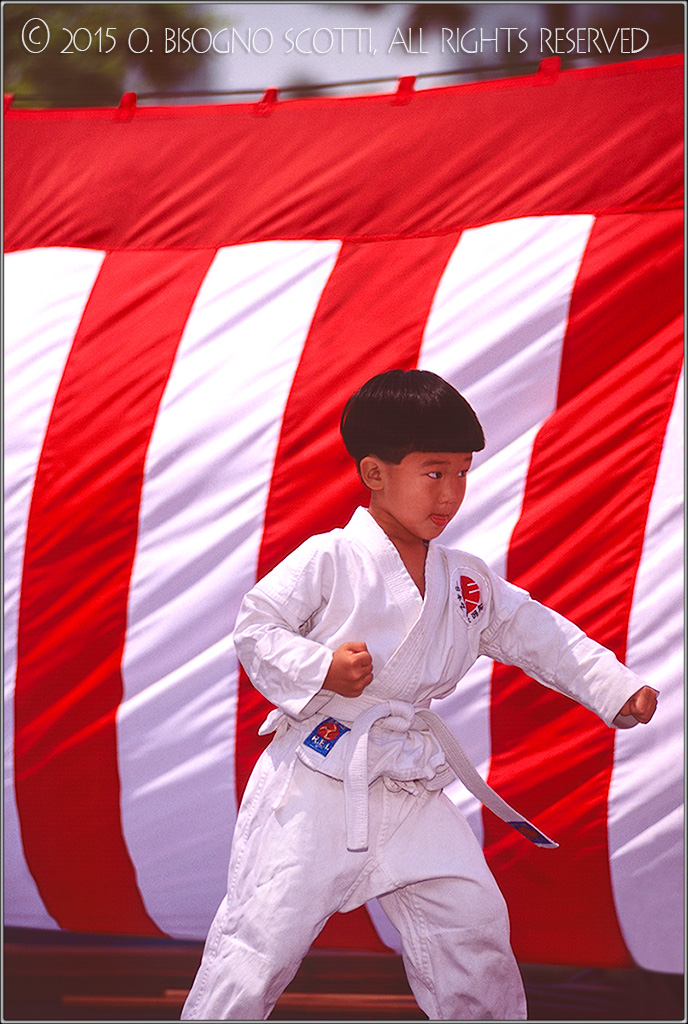 Nisei Karate Boy