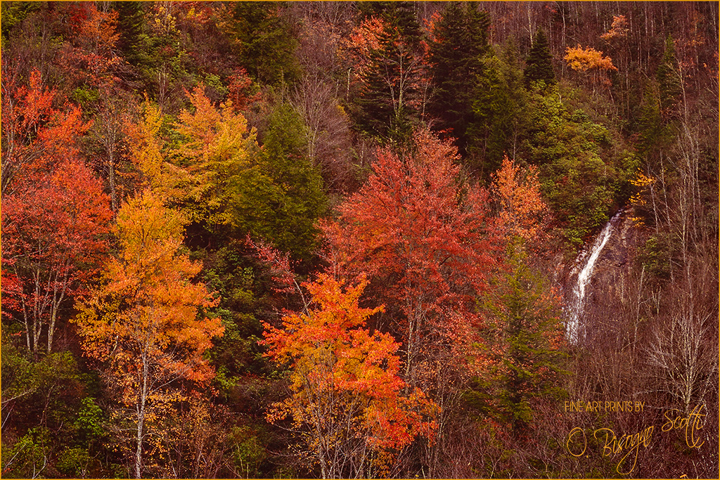 North Carolina Autumn with Falls